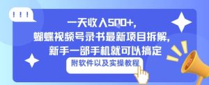 一天收入5张+,蝴蝶视频号录书最新项目拆解,新手一部手机就可以搞定(附软件以及实操教程)-宝藏屋创业网
