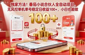 独家方法!番茄小说合伙人全自动挂G项目,无风控单机单号稳定日收益100+,小白也能做-宝藏屋创业网