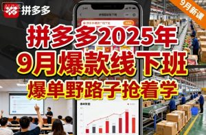 拼多多2025年9月爆款线下班,爆单野路子抢着学-宝藏屋创业网