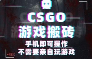 CSGO游戏挂G捡漏,单日扫货5张+,年底小高峰上车可吃肉,手机即可操作,兼职副业创业网创【揭秘】-宝藏屋创业网