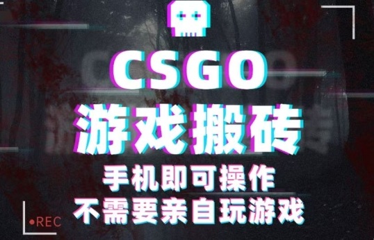 CSGO游戏挂G捡漏,单日扫货5张+,年底小高峰上车可吃肉,手机即可操作,兼职<a href=