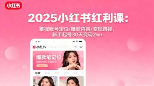 2025小红书红利课:掌握账号定位/爆款内容/变现路径,新手起号30天变现2w+-宝藏屋创业网