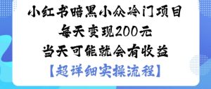 小红书暗黑小众冷门项目每天变现2张当天可能就会有收益-宝藏屋创业网