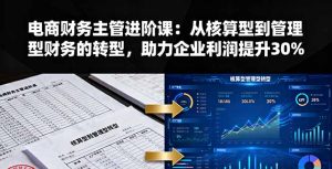 电商财务主管进阶课:从核算型到管理型财务的转型,助力企业利润提升30%-宝藏屋创业网