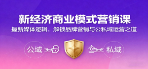 新经济商业模式营销课,握新媒体逻辑,解锁品牌营销与公私域运营之道-宝藏屋创业网