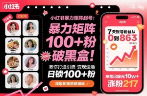 小红书暴力矩阵起号,教你打通引流-变现速通,日锁100+粉,破流量黑盒-宝藏屋创业网