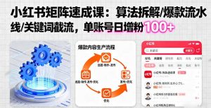 小红书矩阵起号速成课:算法拆解/爆款流水线/关键词截流 单账号日增粉100+-宝藏屋创业网