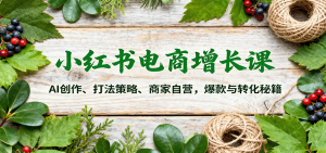 小红书电商增长课:AI创作、打法策略、商家自营,爆款与转化秘籍-宝藏屋创业网