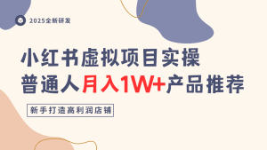 小红书虚拟项目实操指南,普通人月入1W+产品推荐,直接抄-宝藏屋创业网