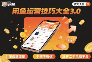 闲鱼运营技巧大全3.0,引爆店铺流量,手把手教你玩转二手电商平台-宝藏屋创业网