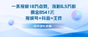 一条视频18W点赞,涨粉6.5W粉佣金8541米,视频号+抖音=王炸-宝藏屋创业网