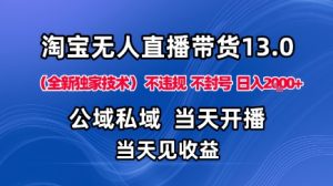 淘宝无人直播13.0,公域私域技术,不封号,不违规布局下半年旺季赛道,日入1K+(独家技术)【揭秘】-宝藏屋创业网