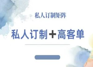 小红书自媒体咨询师IP教程,私人定制+高客单-宝藏屋创业网