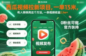 西瓜视频拉新项目,一单13米,有人悄悄用这个方法,一条视频收益2.5w+(附详细教程)-宝藏屋创业网