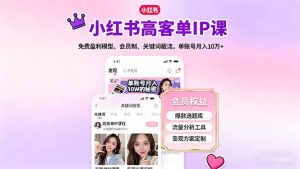 小红书高客单IP课,免费盈利模型、会员制、关键词截流,单账号月入10万+-宝藏屋创业网