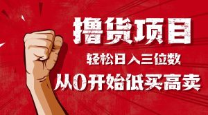 手把手教你撸货,从0开始低买高卖,小白轻松实现日入三位数!!!-宝藏屋创业网