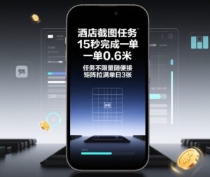 酒店截图任务,15秒完成一单,一单0.6米,任务不限量随便接,矩阵拉满单日3张【揭秘】-宝藏屋创业网