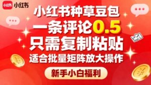 小红书种草豆包,一条评论0.5,只需复制粘贴,适合批量矩阵放大操作,新手小白福利-宝藏屋创业网