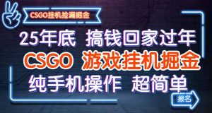 25年底搞钱回家过年,CSGO游戏挂机掘金,纯手机操作超简单-宝藏屋创业网