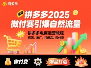 拼多多2025微付费引爆自然流量,拼多多电商运营教程,运营、推广、打爆品、微付费(更新)-宝藏屋创业网