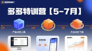 多多特训营,产品决定上限,方法决定下限,各种玩法技巧落地实操(更新)-宝藏屋创业网