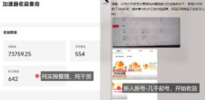游戏加速器项目4.0_最新打法思路(爱玩游戏也能边玩边被动收益)-宝藏屋创业网