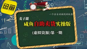 麦子甜咸鱼自助卖货实操版(虚拟资源)一个会自动搞钱的机器-宝藏屋创业网
