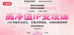 高净值IP变现课:小红书差异化定位,文案点赞成金, AI高效做短视频-宝藏屋创业网