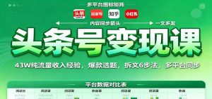 头条号变现课:43W纯流量收入经验,爆款选题,拆文6步法,多平台同步-宝藏屋创业网