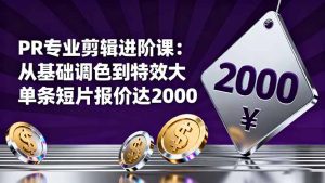 PR专业剪辑进阶课:从基础调色到特效大片的进阶技能,单条短片报价达2000-宝藏屋创业网