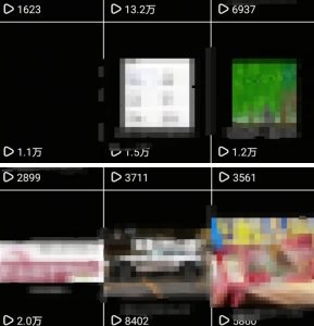 抖音引流创业粉教程,创业粉终于跑通了,私域是永远的王网赚项目-副业赚钱-互联网创业-资源整合御文网赚-宝藏屋创业网