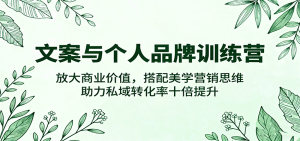 文案与个人品牌训练营,放大商业价值,搭配美学营销思维,助力私域转化率十倍提升-宝藏屋创业网