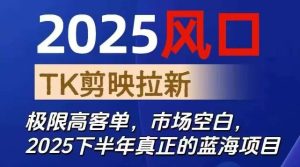 2025风口TK剪映capcut拉新项目,极限高客单,市场空白,2025下半年真正的蓝海项目-宝藏屋创业网