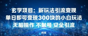 玄学项目：新玩法引流变现单日即可变现3张的小白玩法无脑操作不封号安全引流-宝藏屋创业网