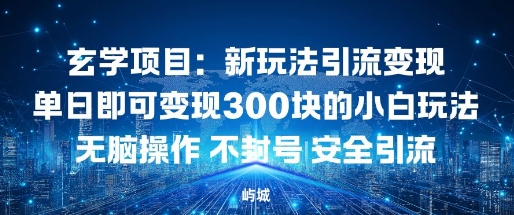 玄学项目：新玩法引流变现单日即可变现3张的小白玩法无脑操作不封号安全引流-宝藏屋创业网