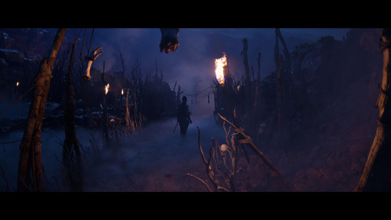 1716309961435091.jpg 地狱之刃2:塞娜的史诗增强版/Senua’s Saga: Hellblade II
