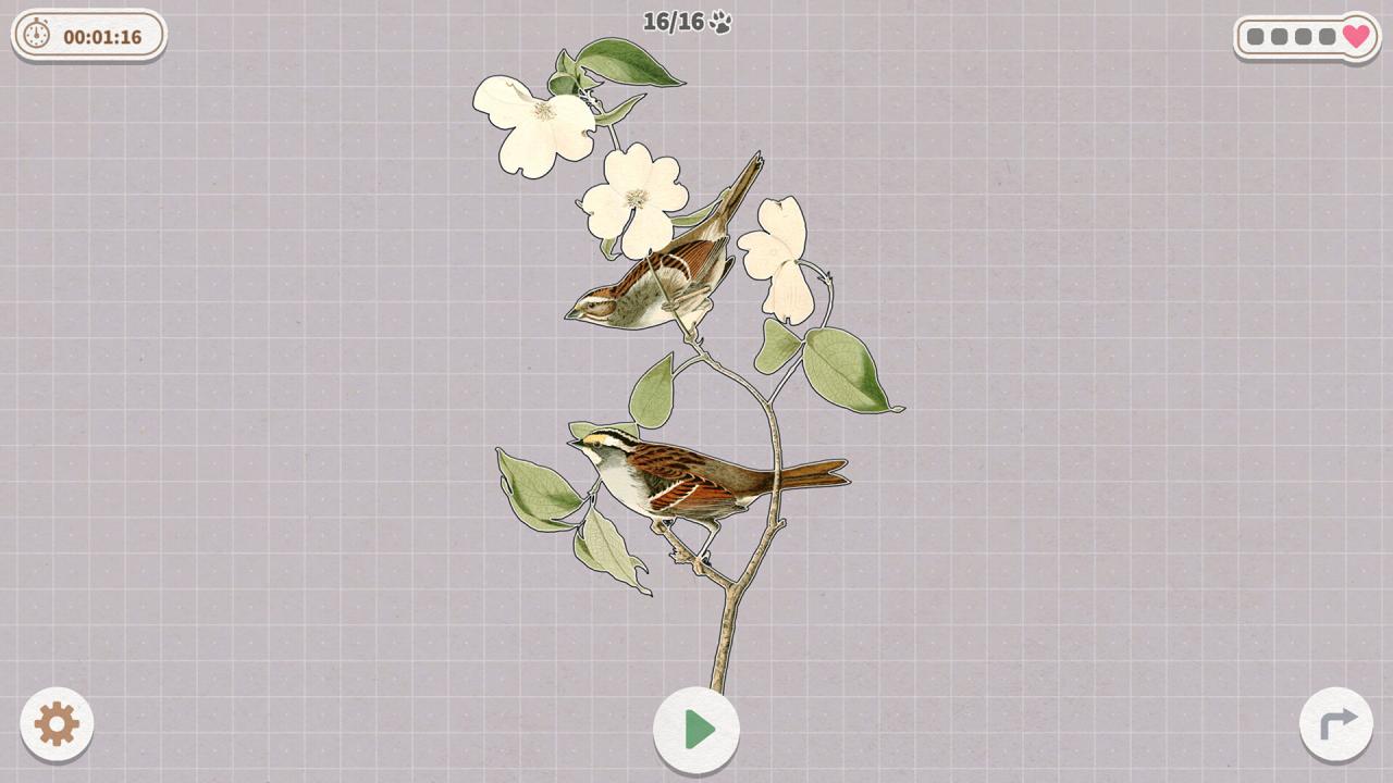 挤在一起的鸟鸟/Birds Huddled Together