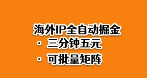 海外ip全自动掘金,2025必做蓝海项目,3分钟落地,矩阵直接开干【揭秘】-宝藏屋创业网