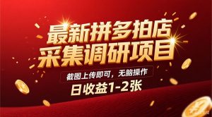 最新拼多多拍店采集调研项目,截图上传即可,无脑操作,日收益1-2张-宝藏屋创业网