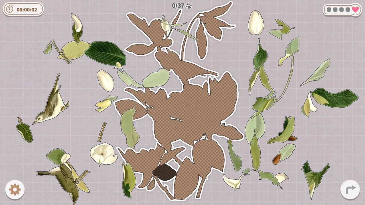 挤在一起的鸟鸟/Birds Huddled Together