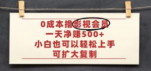 亲测,0成本可批量操作,靠卖影视会员实测月入30000+-宝藏屋创业网