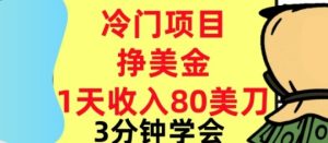 冷门项目挣美刀,0门槛,1天收入80刀,3分钟学会,这个方法要学会-宝藏屋创业网