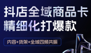 金戈·抖店爆单陪跑课-抖音小店爆单陪跑(更新10月)-宝藏屋创业网