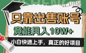 一个不起眼却很暴力的项目,只靠出售账号,竟能月入10W+-宝藏屋创业网
