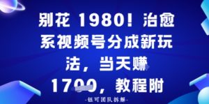 别花1980!治愈系视频号分成新玩法,0成本,当天賺多张-宝藏屋创业网