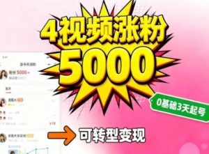 小红书暴力起号方法,四个视频涨粉5000,起号后可转型,操作简单,对小白友好-宝藏屋创业网