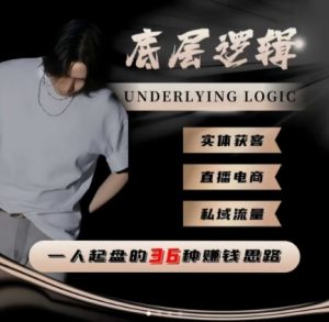 一个人起盘的底层逻辑,私域流量-直播电商-实体获客,一人起盘的36种賺钱思路-宝藏屋创业网