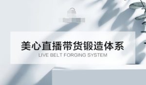 直播带货锻造体系课,5G时代美心一站式帮你开启直播带货之路【音频】-宝藏屋创业网
