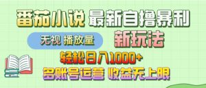 【最新】番茄小说自撸暴利新玩法!轻松日入1000+,无视播放量,可放大,收益无上限!-宝藏屋创业网