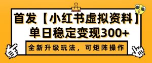 首发【小红书店铺虚拟资料】全新升级玩法,可矩阵操作,单日稳定变现300+-宝藏屋创业网